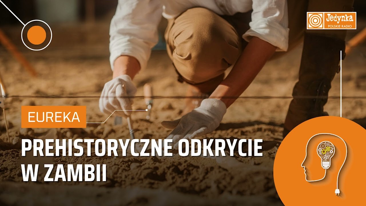 Prehistoryczne odkrycie w Zambii. Odnaleziono drewnianą konstrukcję sprzed pół miliona lat | EUREKA