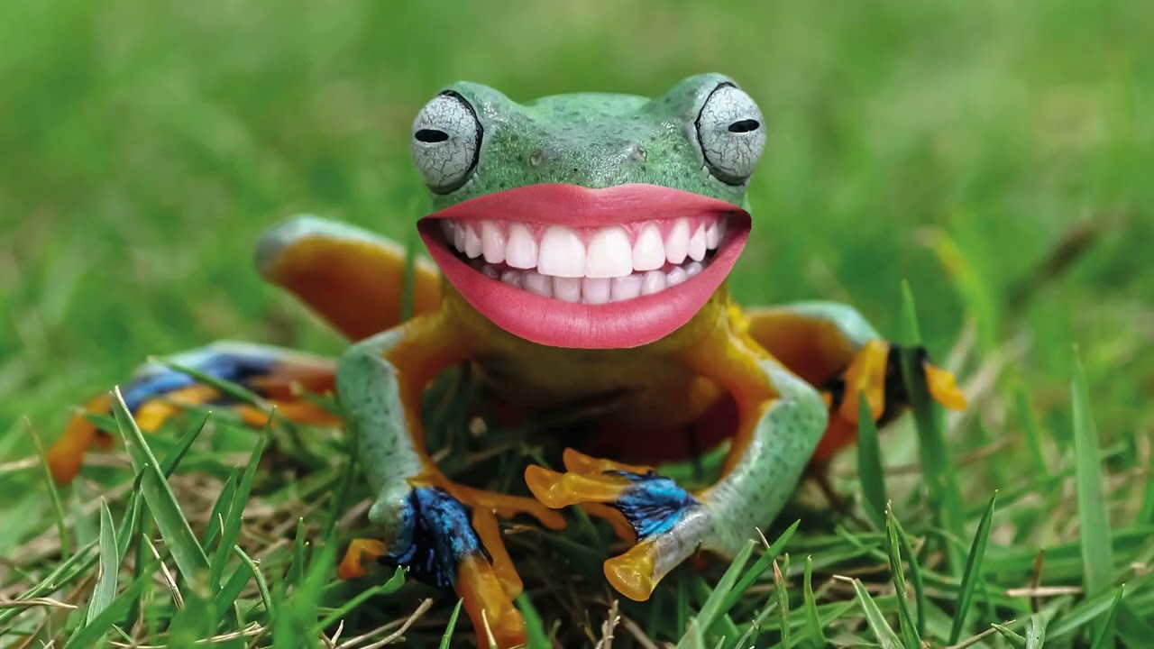 20 Interesting Facts About Animals