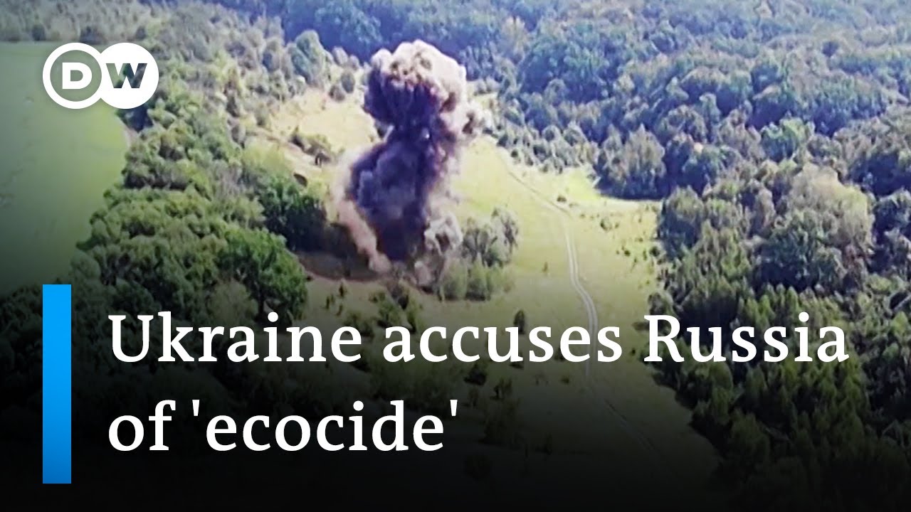 What's the environmental damage of the war in Ukraine? | DW News