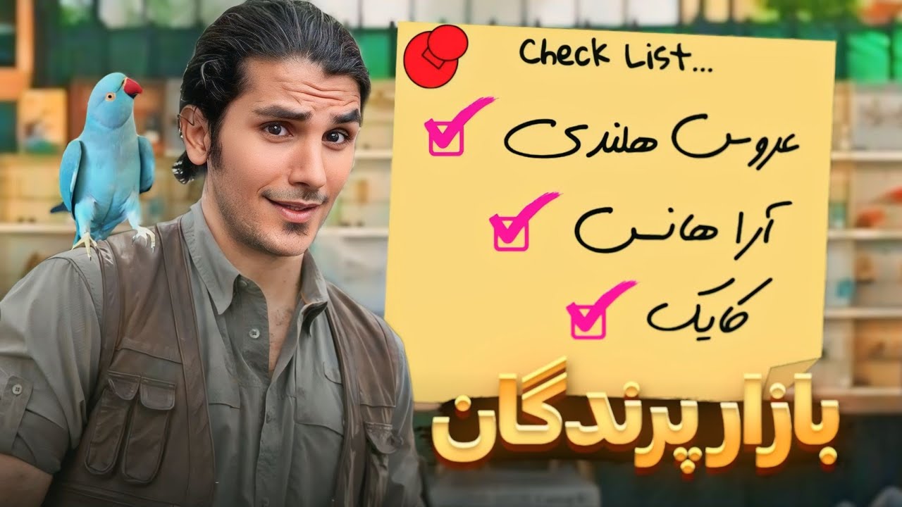 بازار پرندگان متفاوت با پرندگان متفاوت،خرید سفارش های شما 🤩