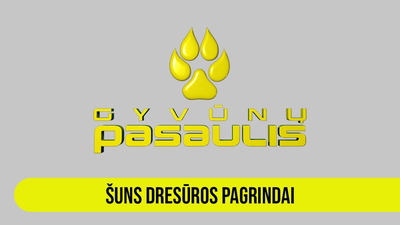 Gyvūnų pasaulis: šuns dresūros pagrindai