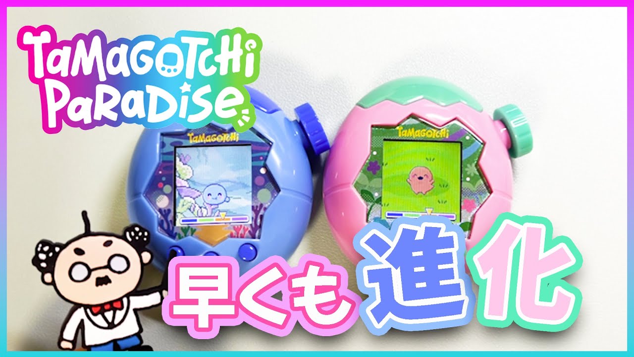 【たまごっち育成動画】たまごっちパラダイスで最初にやる事紹介します‼️
