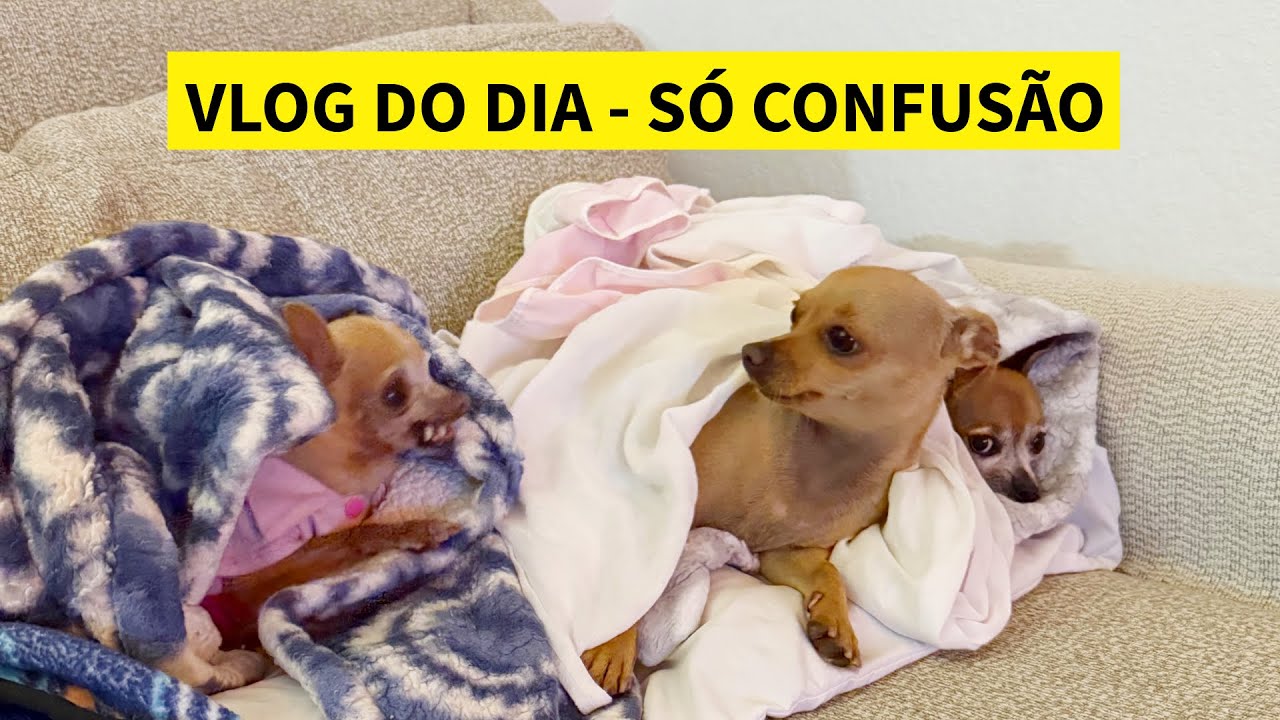 VLOG DO DIA SÓ CONFUSÃO 