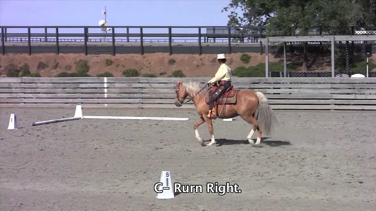 Cowboy Dressage Woodside Show