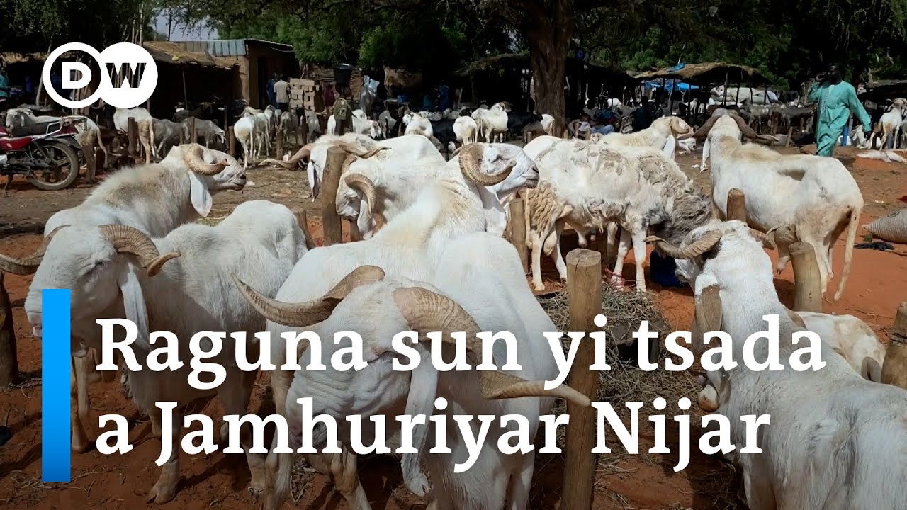 Nijar kasuwannin raguna sun cika da kuma farashi mabambanta
