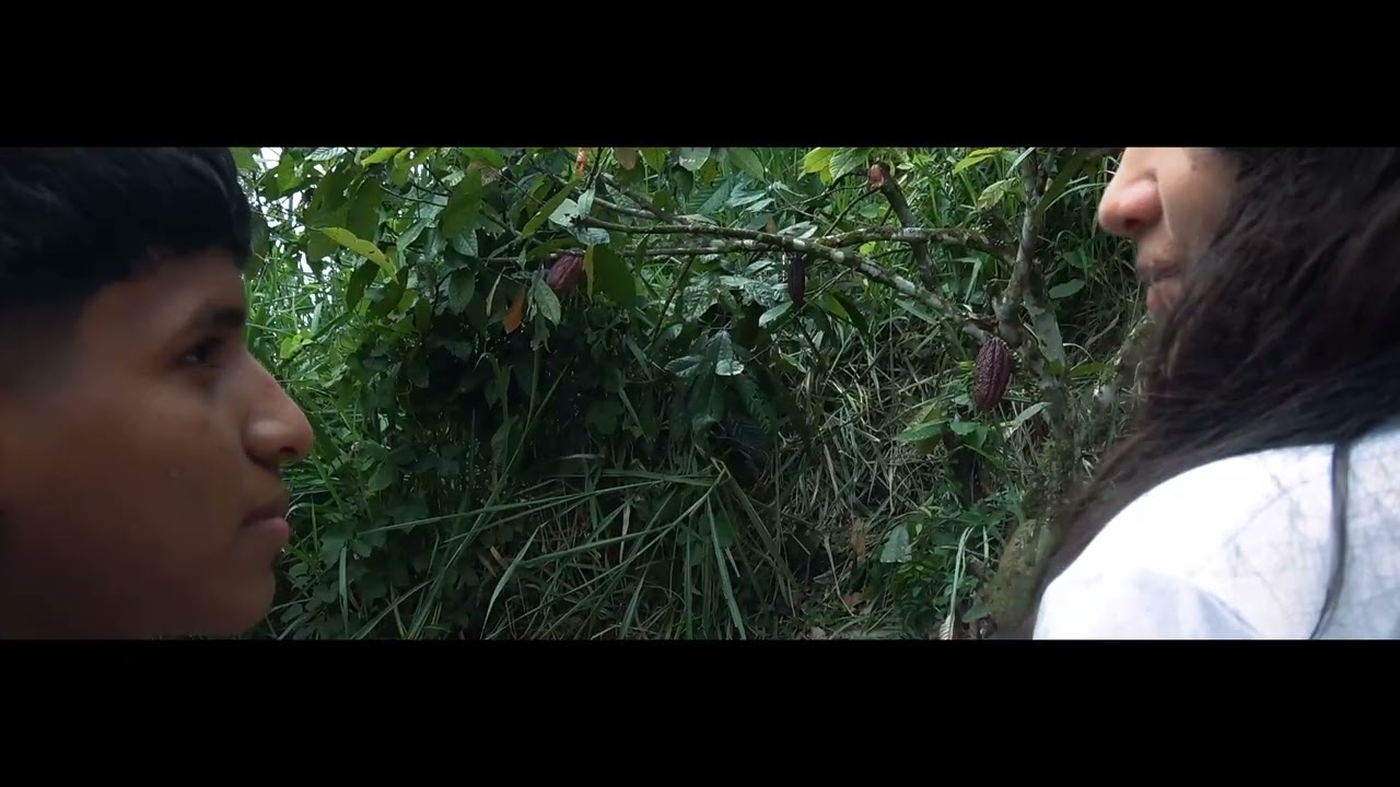 CORTOMETRAJE 