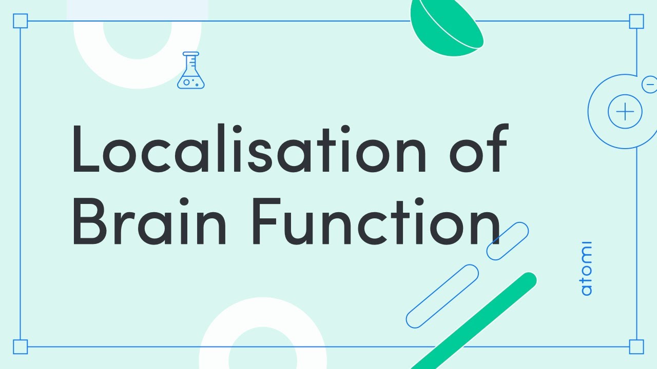 Y11-12 Psychology: Localisation of Function