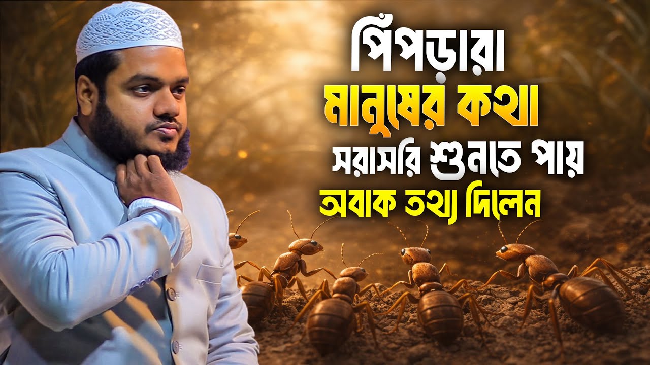 পিঁপড়ারা মানুষের কথা সরাসরি শুনতে পায়│Abdullah Bin Abdur Razzak New Waz