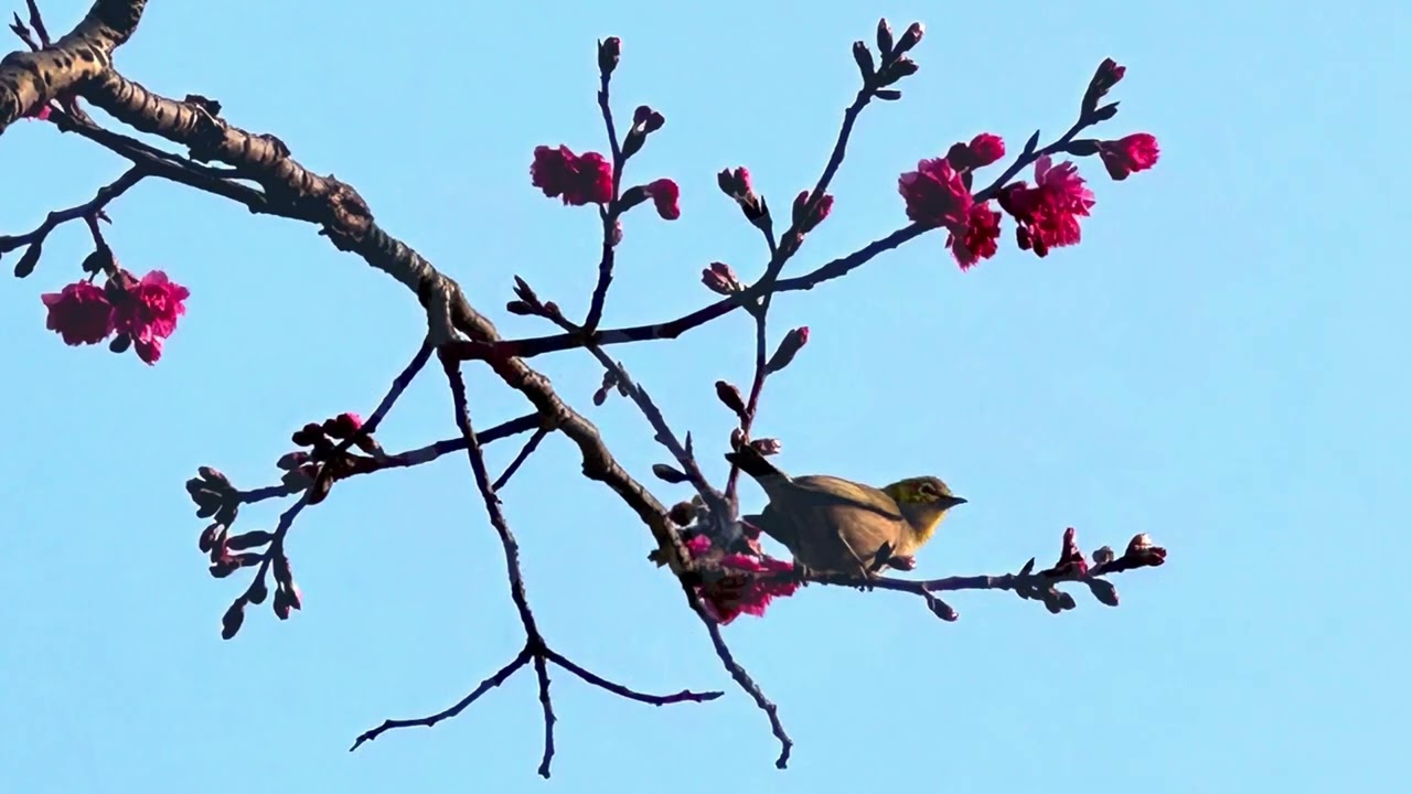 2026年3月10日