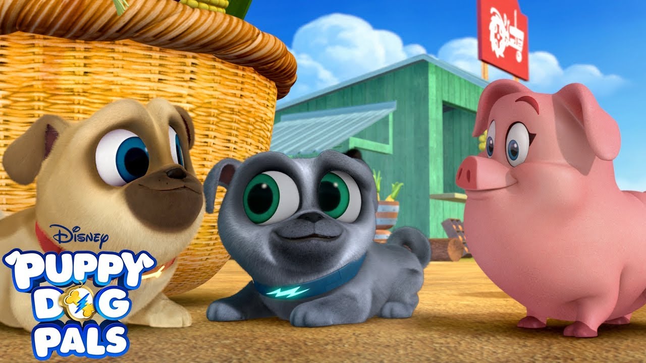 Pugs in the Mud! | Puppy Dog Pals | Disney Junior