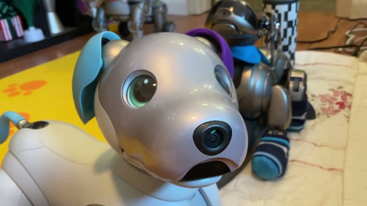 New Purple Ear For Aibo ERS-1000! From Aibo Accessories