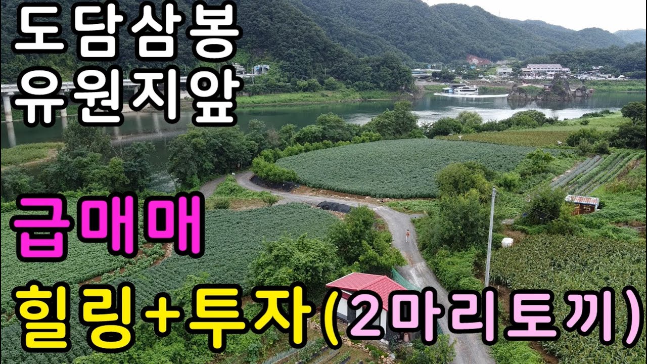 도담마을내, 아름다운 단양 팔경중 하나 주말쉼터 1종주거지역 내 자리한,단양주말주택,단양주말쉼터,단양부동산,단양급매물매매 주말농장,단양싼땅,상담043-647-0150충북땅달인tv,