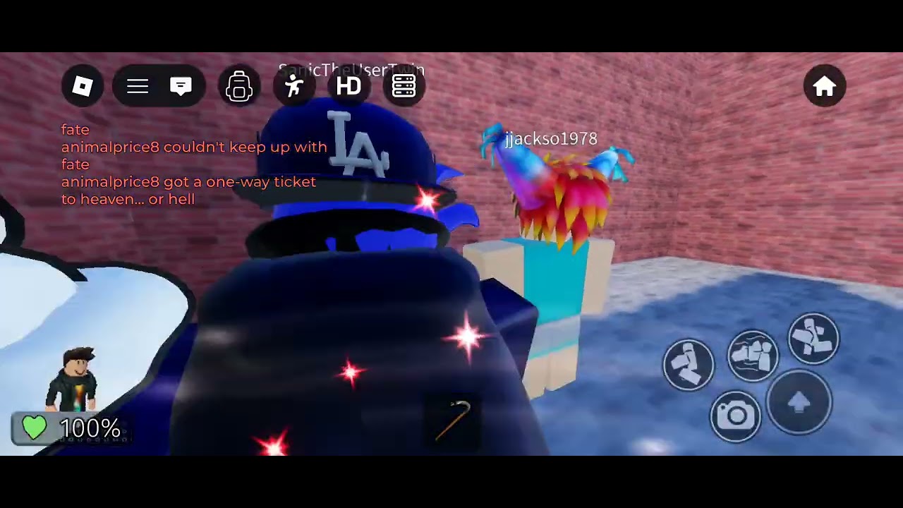 Sanic chase maze