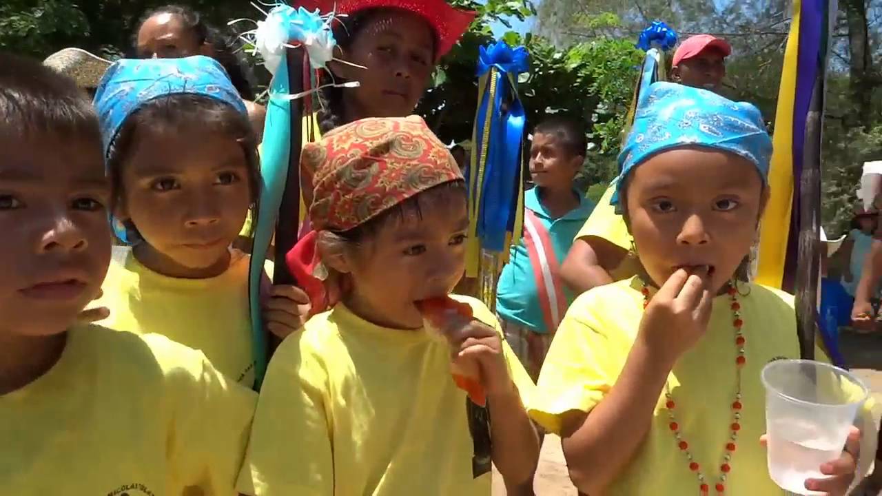 08 DE SEP  2016 DANZA DEL TORITO DE PETATE VISTA HERMOSA GRO