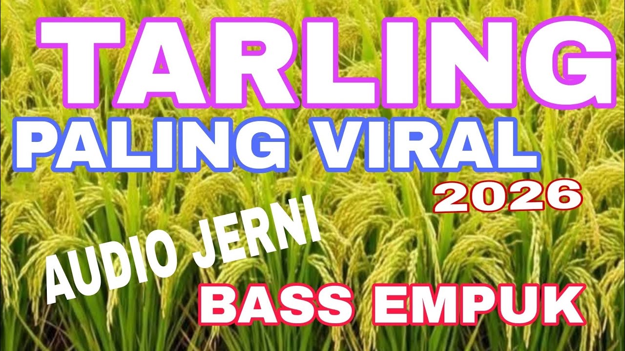 TARLING PALING VIRAL 2026 AUDIO JERNIH BASS EMPUK