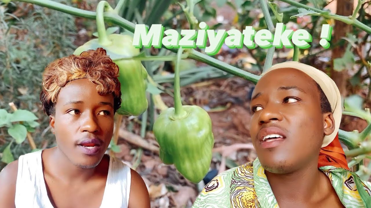 Ikinamico : Mazi yateke na haruna m’urukundo rwinshi cyane !!