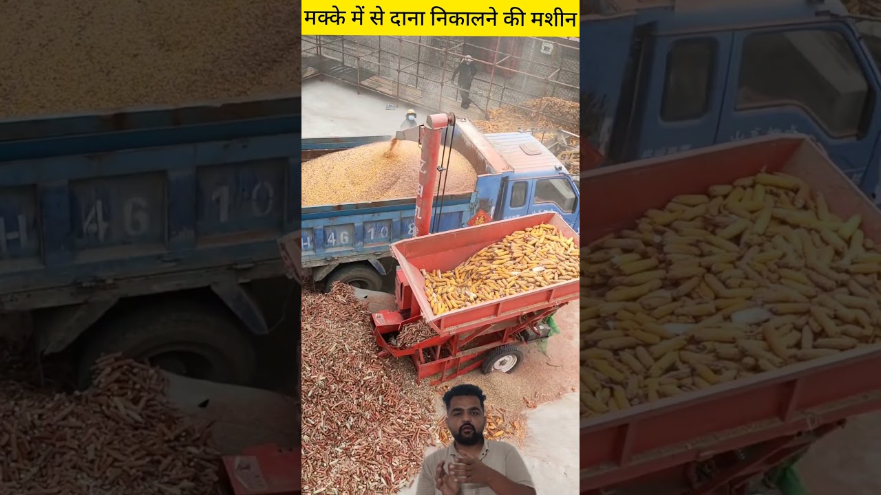 large 🌽 corn thresher agricultural tools #2023 #shorts