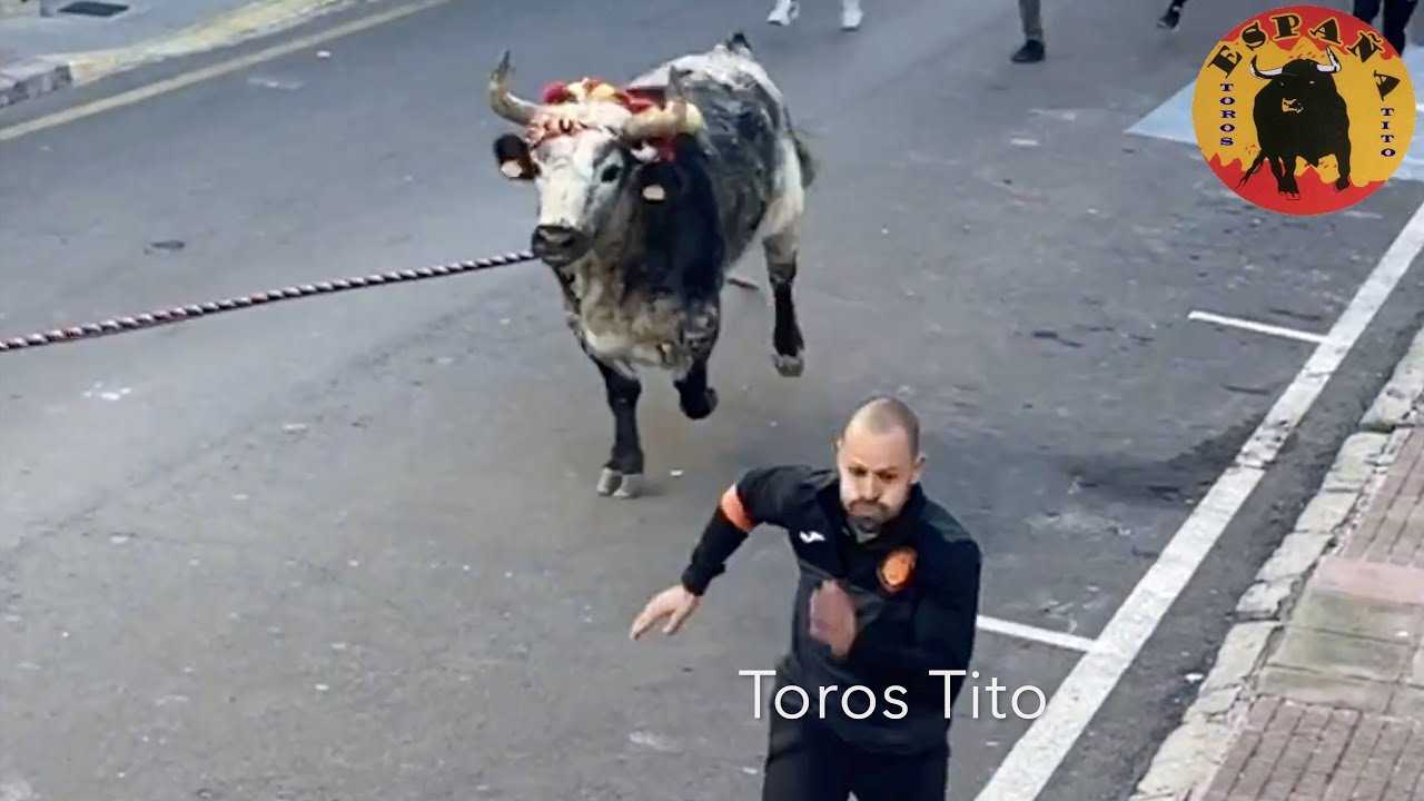 Buen primer toro en cuerda Yatova, Hnos Cali 21/1/23