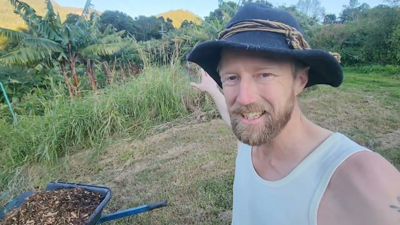Is importing mulch cheating in a syntropic system?
