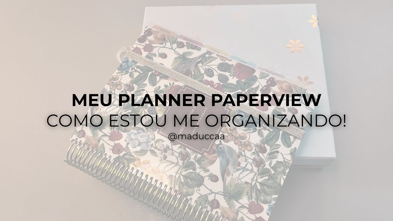 MEU PLANNER PAPERVIEW | como estou me organizando!