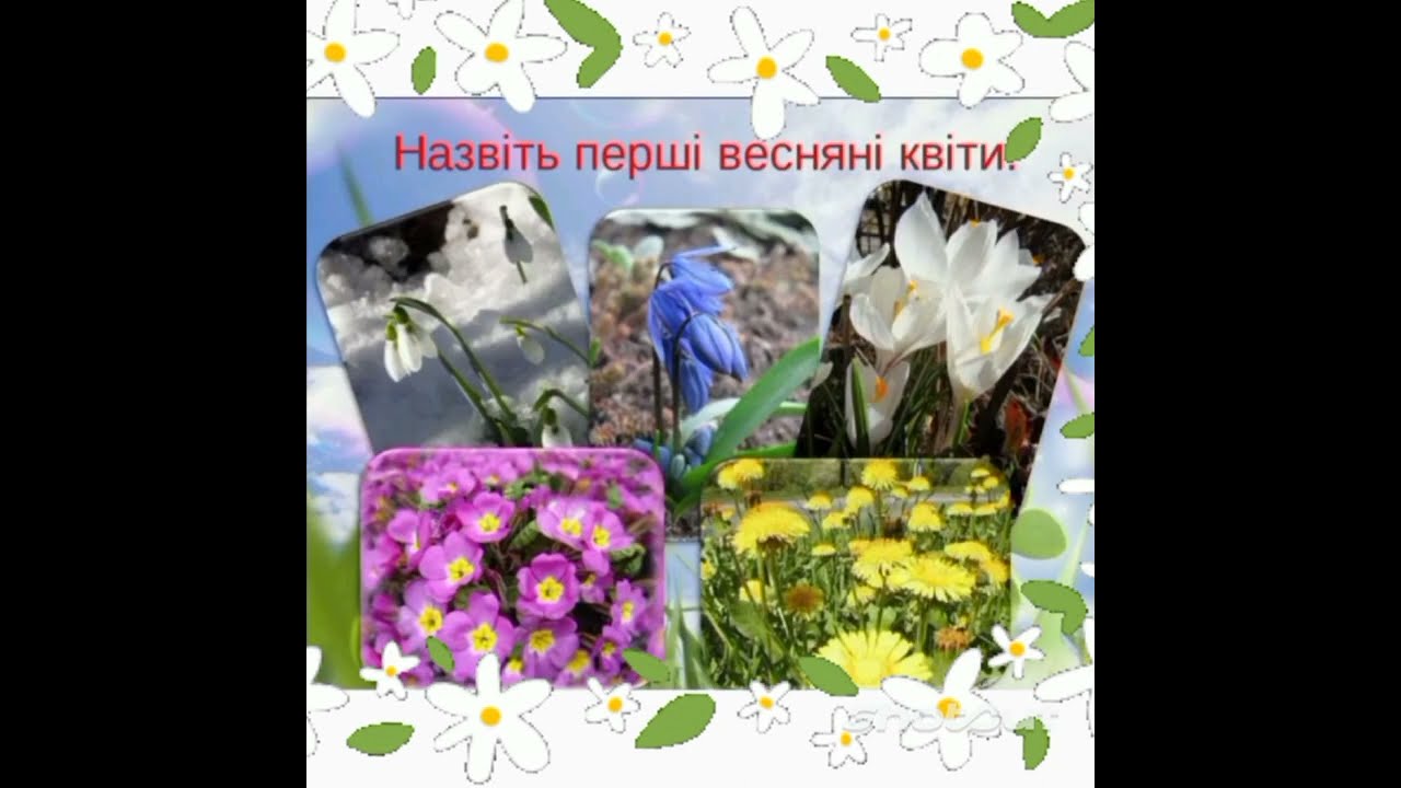 Ознайомлення з природою + зображувальна діяльність: 