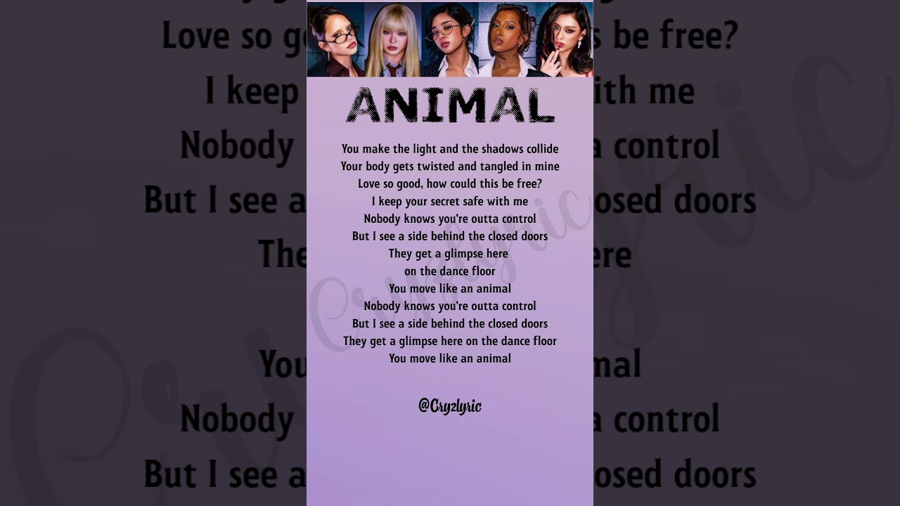 Animal - Katseye Song Lyrics #KATSEYE_ANIMAL #KATSEYE #ANIMAL #LYRICS