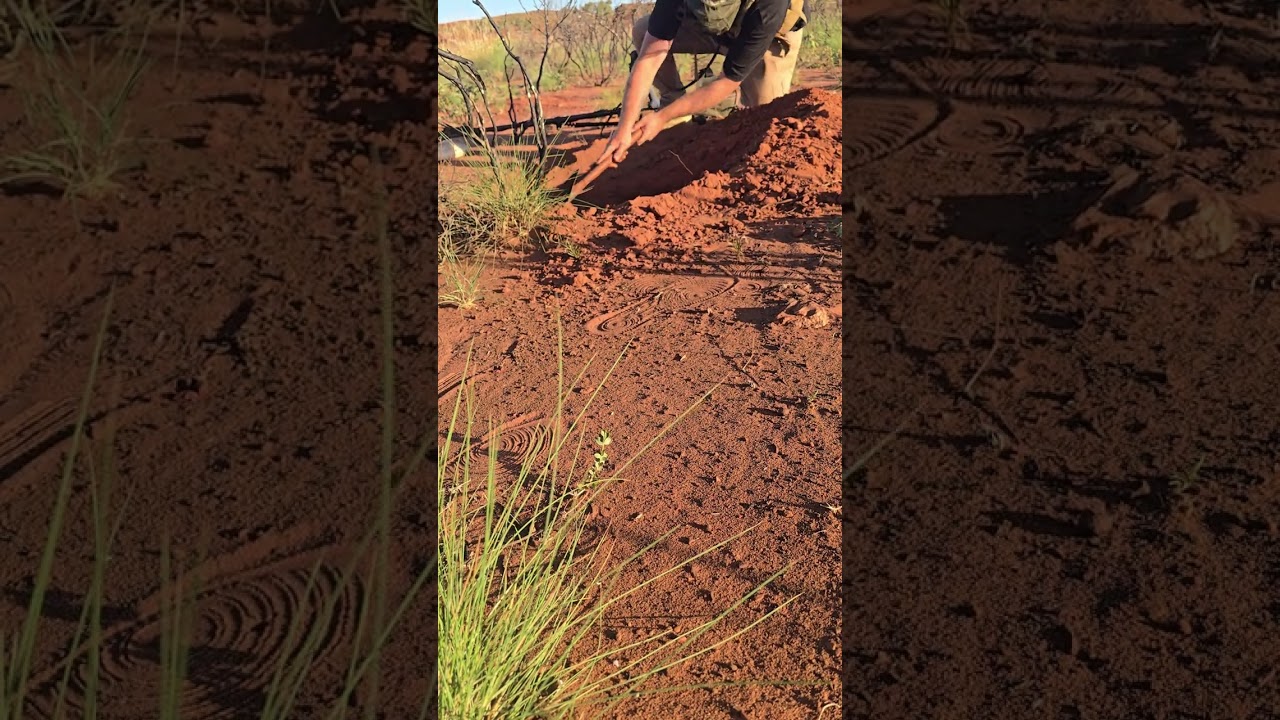 GPZ 8000 GOLD. WESTERN AUSTRALIA, @MinelabDetecting 