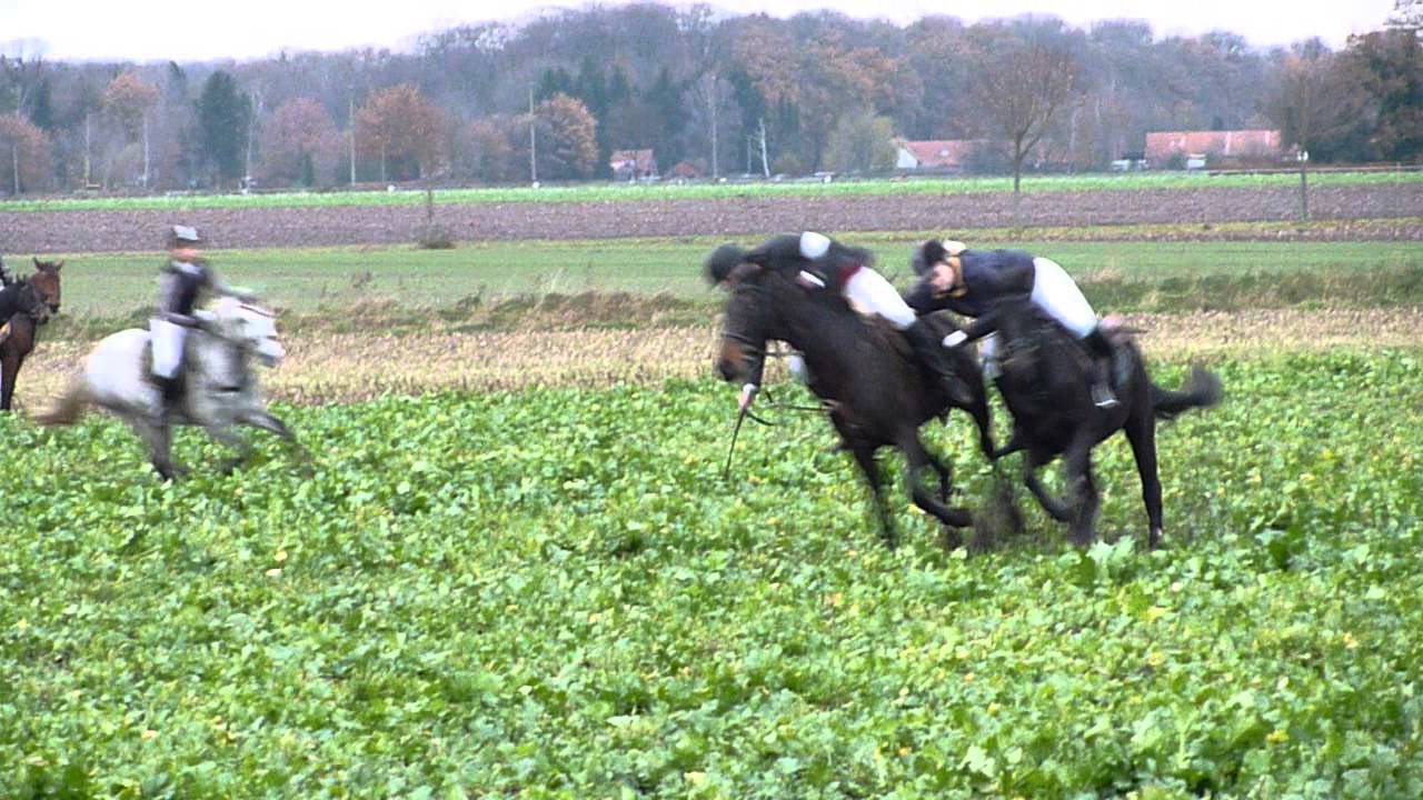 Fuchsjagd 2010