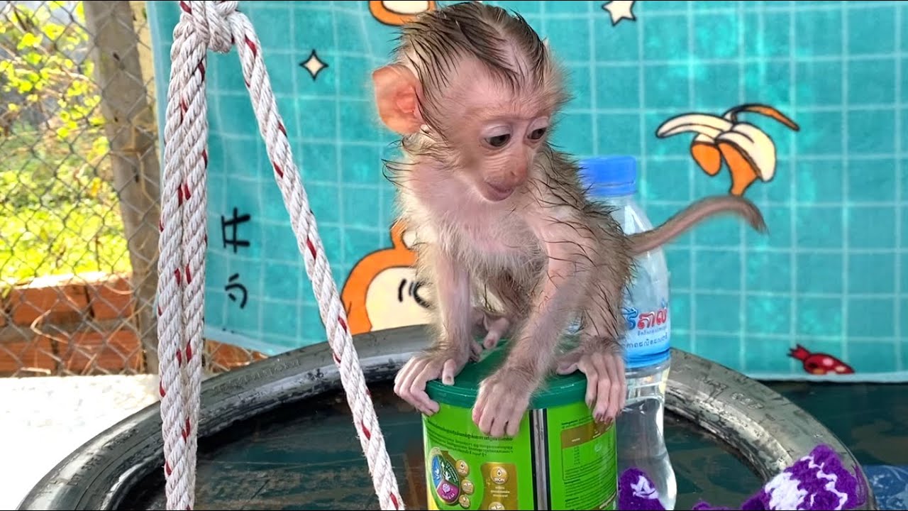 Amazing!! Little baby LIORA tries to climb on a milk Can while mom is preparing her diaper