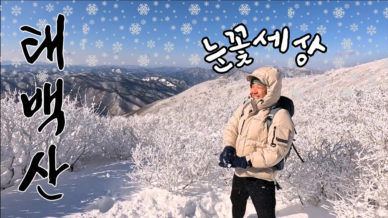 눈으로 뒤덮인 백두대간 태백산을 오르다!