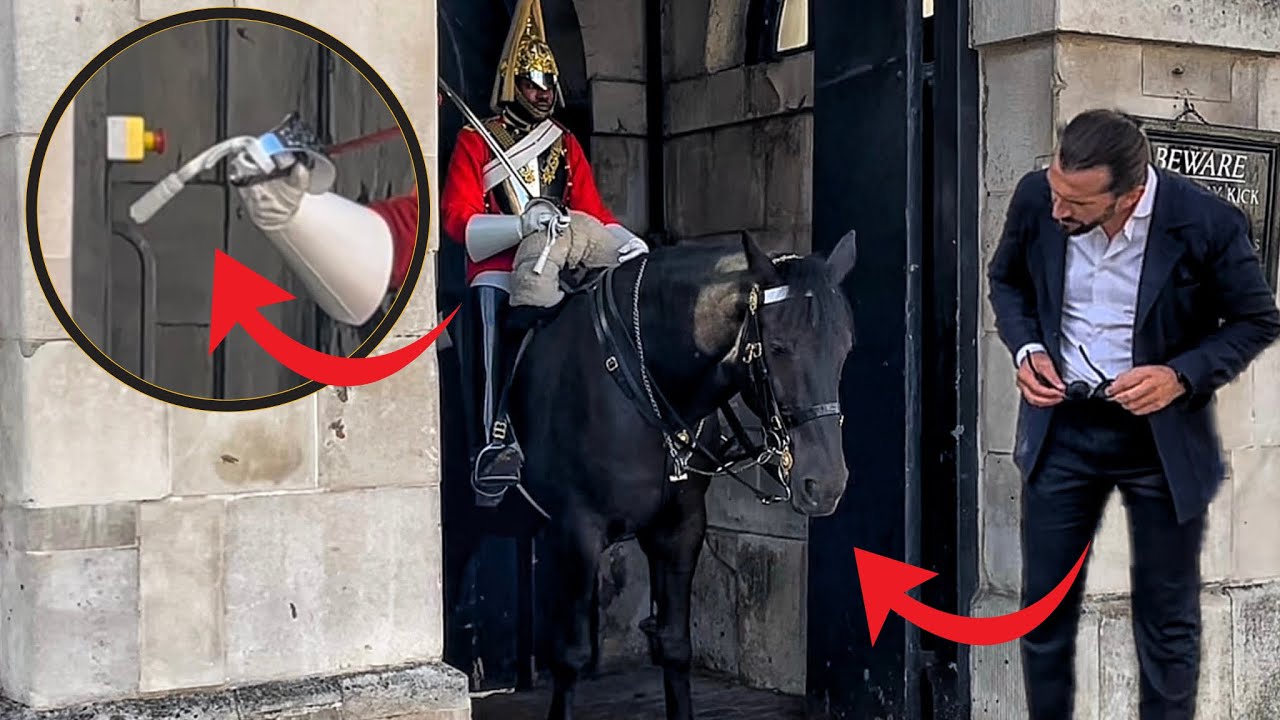 Tourist Tells Horse Guard His Horse Is Bleeding – Nobody Helps!