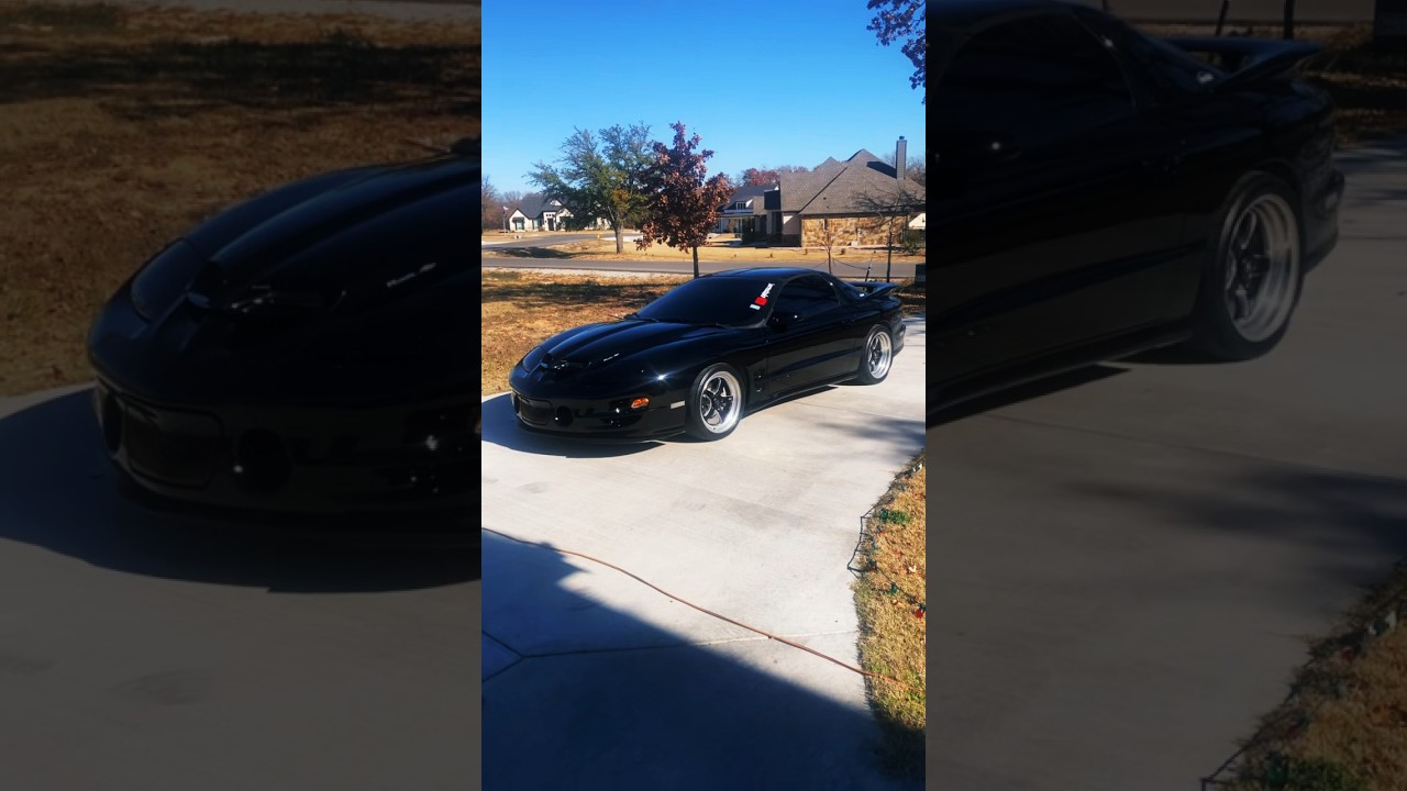 TRANS AM WS6 VS COBRA TERMINATOR  #fbody #pontiac  #cobra #terminator #vs
