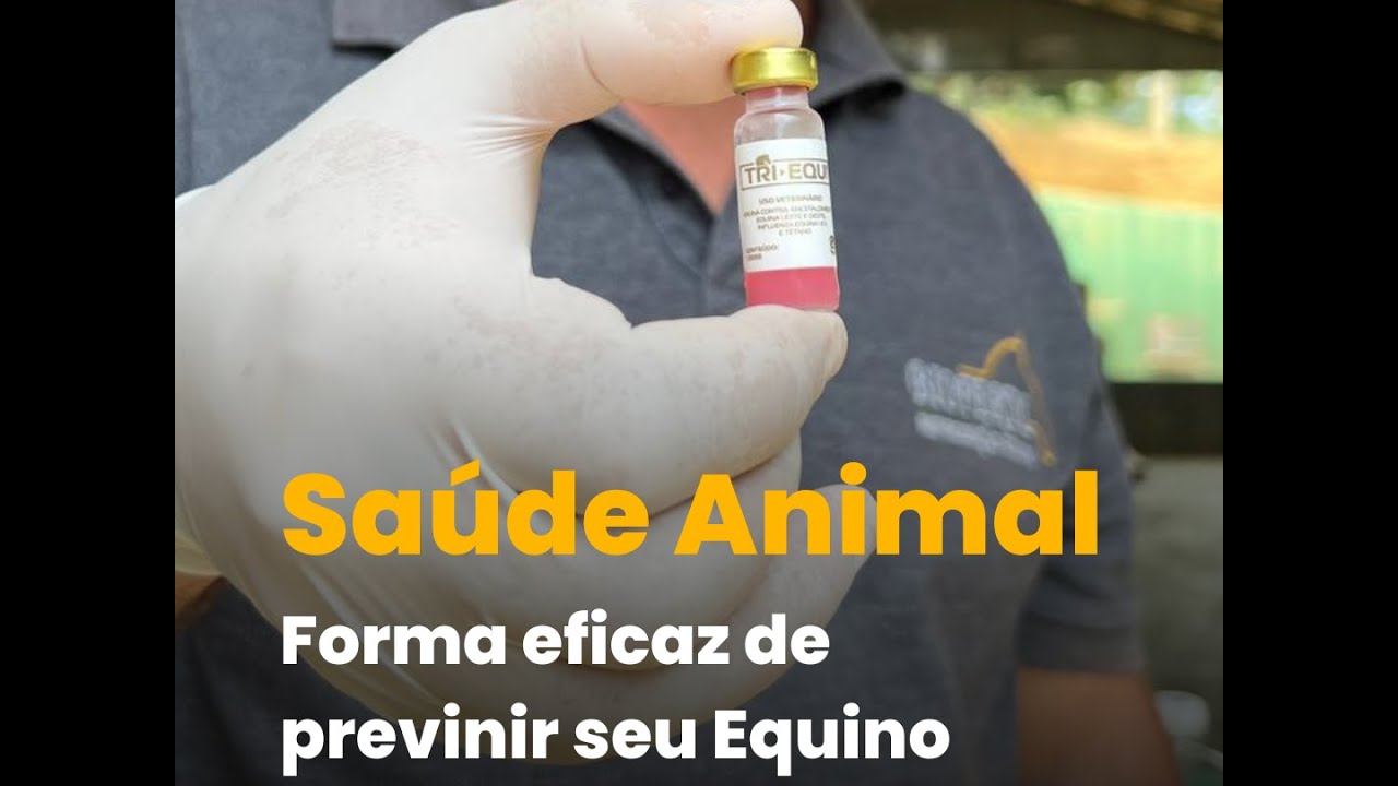 A vacina Contra a Encefalomielite Leste e Oeste, Influenza I e II e Tétano Hertape Tri-Equi #shorts