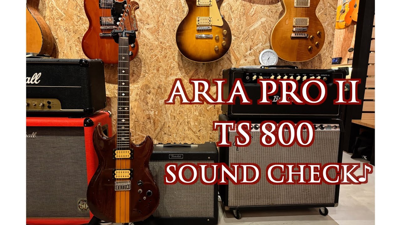 [試奏] ARIA PRO Ⅱ  TS 800  SOUND CHECK♪