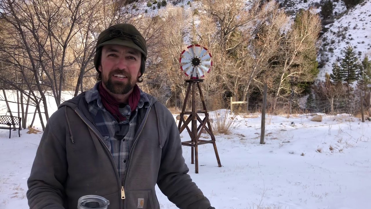 Winter 2021 on the Forbes Family Farm