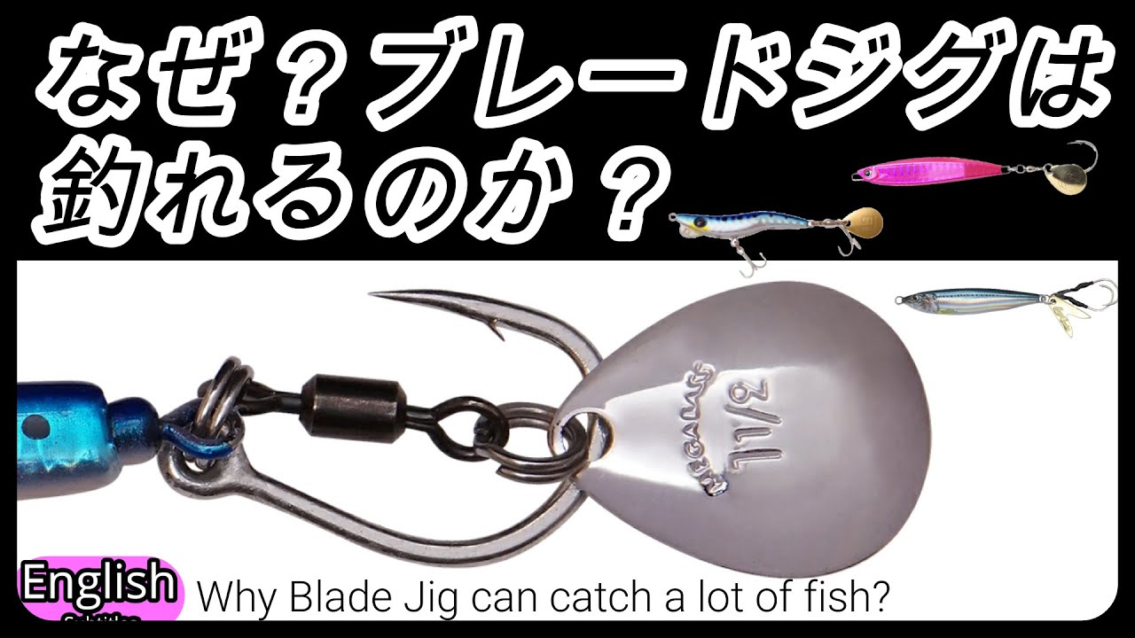 ブレードジグがただ巻きで良く釣れる理由【ショアジギング】スピンテールジグ BLADE METAL JIG  Shore Jigging
