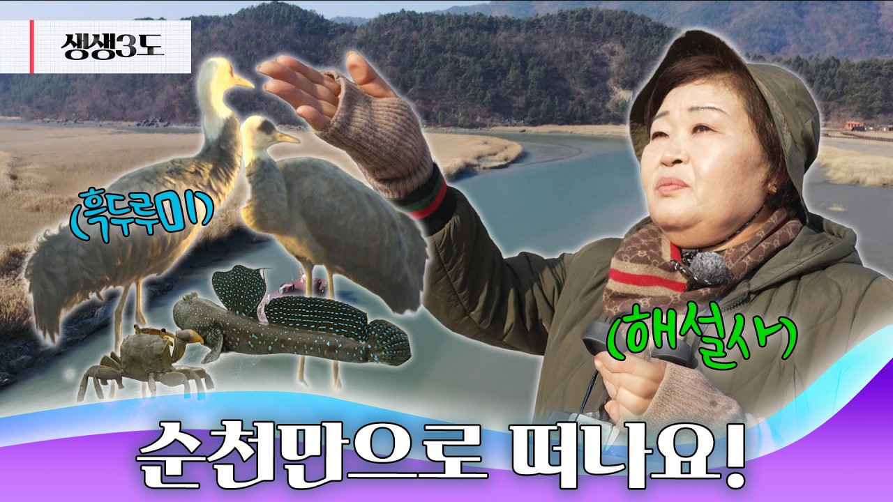 자연생태해설사와 함께하는 순천만습지 투어 🌿｜260220 생생삼도