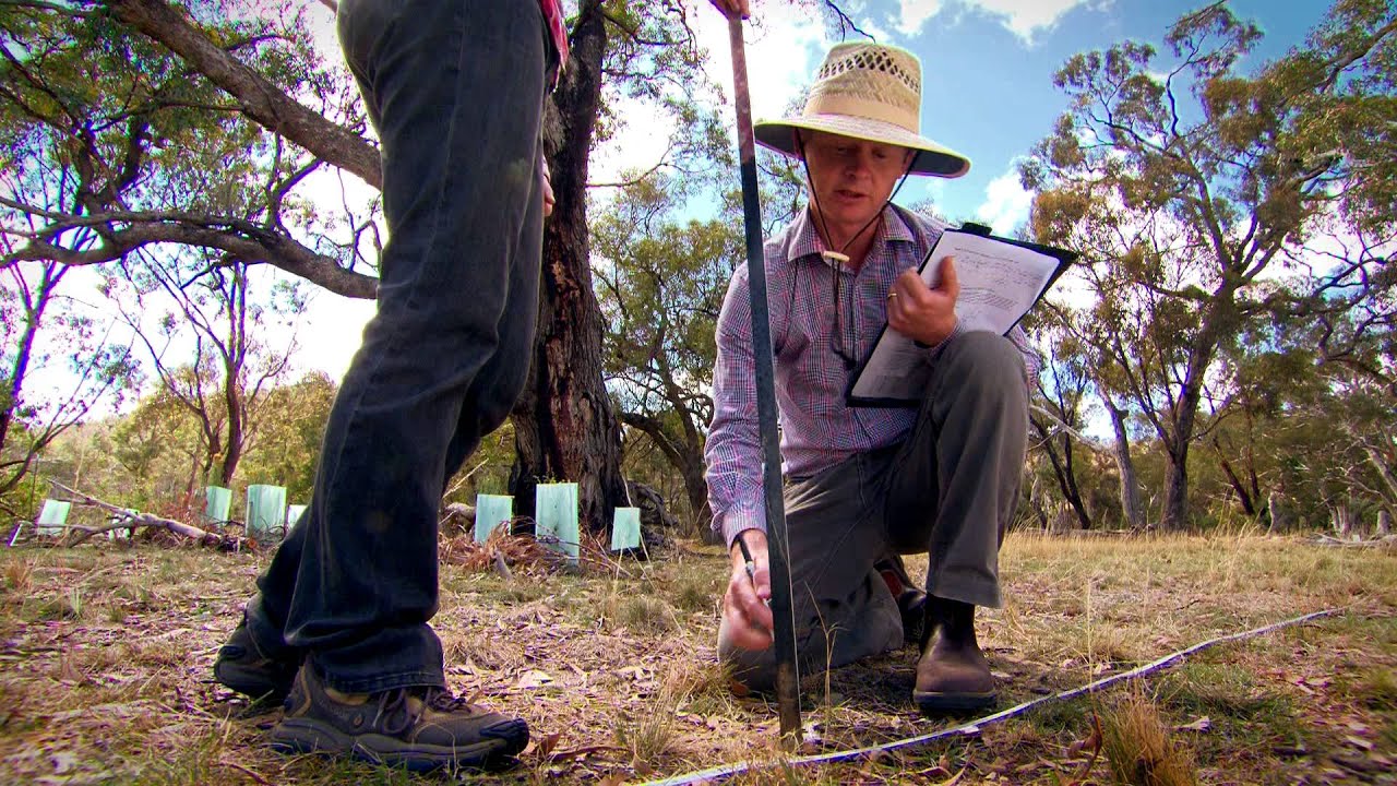 Biodiversity Fund Ecological Monitoring Guide -- Training Video 2013