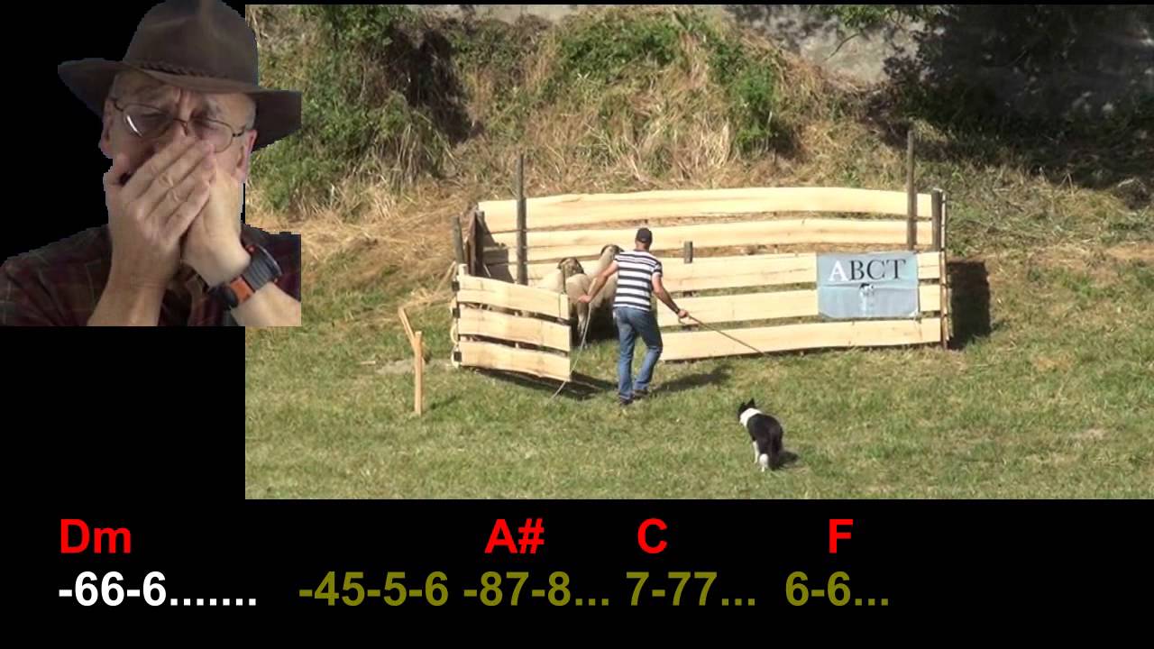 nº 291 El Pastor solitario(Shepherd Gheorghe Zamfir) tabl.armnonica.diat.( C )