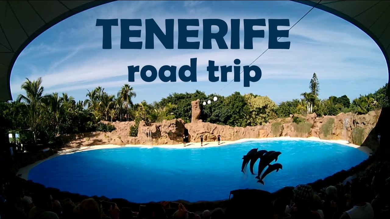 TENERIFE road trip - The best of Canary Islands + PICO DEL TEIDE (3 718 m)