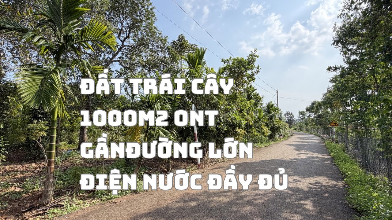 ☘️Đất Vườn Đường Nhựa Có Điện nước Trái Cây Sẵn Trên Đất 1000m2 Giá 1Tỷ5 TL Gần Đường Lớn 