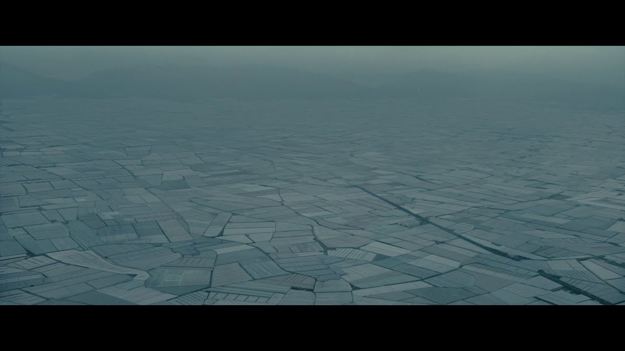 Is K Human? | Blade Runner 2049 Analysis