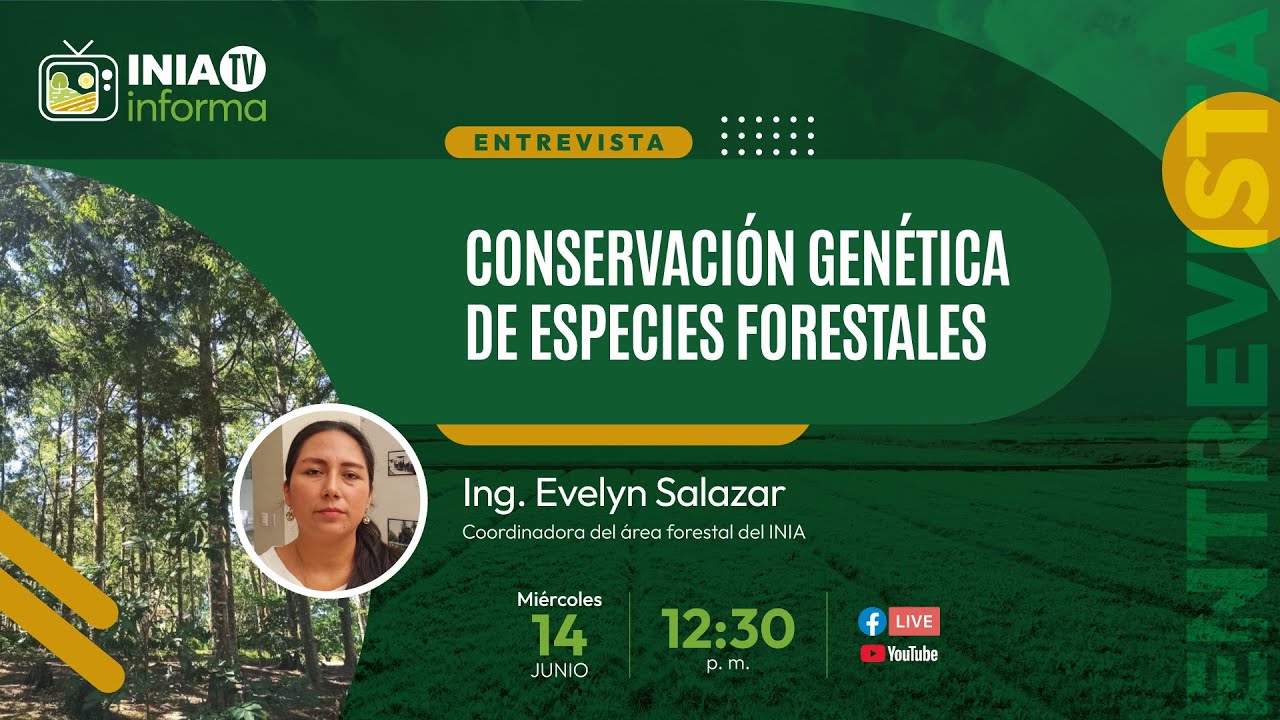 Conservación genética de especies forestales