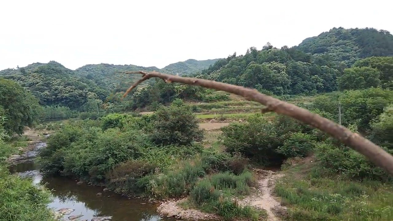 夏日寻地分享小山村寻到一处玉带缠腰的风水宝地#陶传鹏 #风水宝地 #堪舆 #寻龙点穴 #观山有术