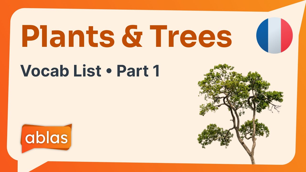 Plants & Trees | French Vocabulary List (Part 1)
