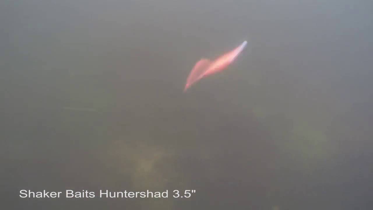 Shaker Baits Huntershad 3.5