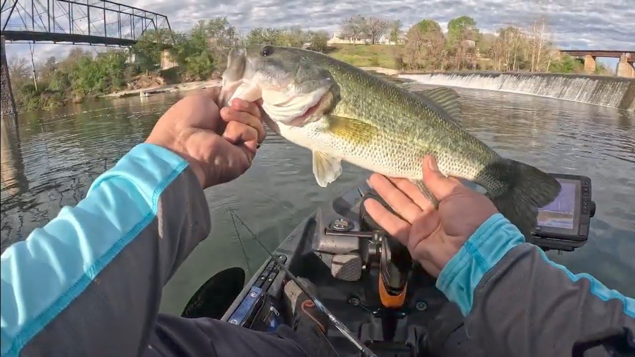 Lake Dunlap And Creek Bank Bass Fishing
