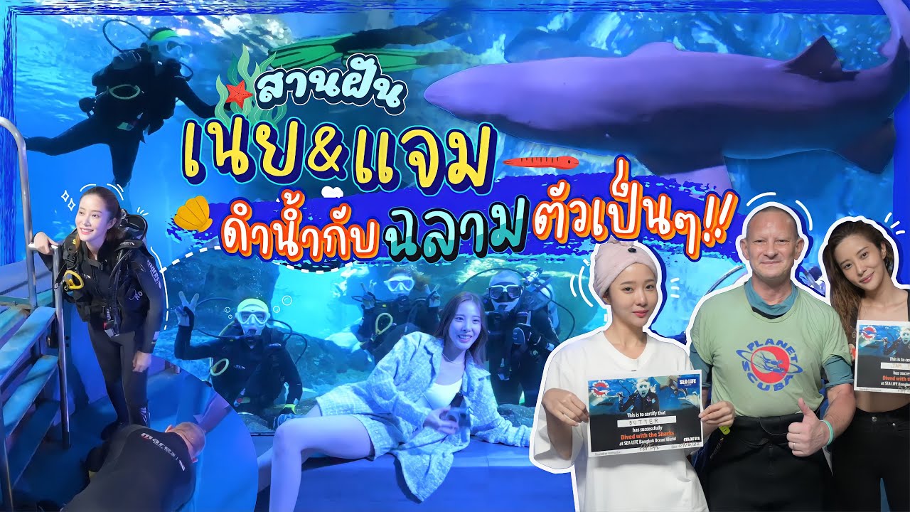 สานฝัน เนย&แจม ดำน้ำกับฉลามตัวเป็นๆ!!