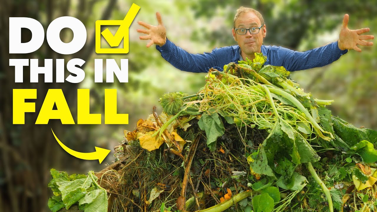 Easy Autumn Garden Wins You Can Do Today
