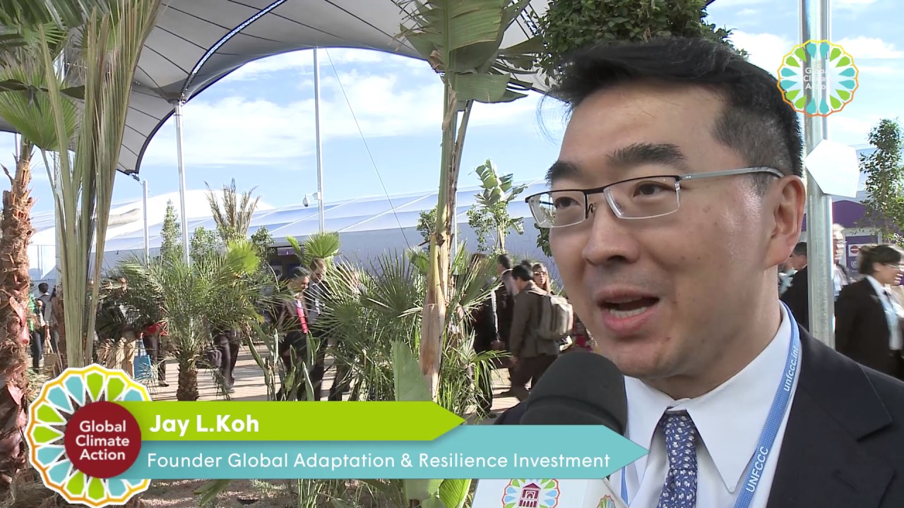 Global Climate Action on Business at COP22